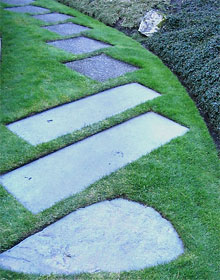 Lãng Mạn Đường Dạo Trong Vườn 